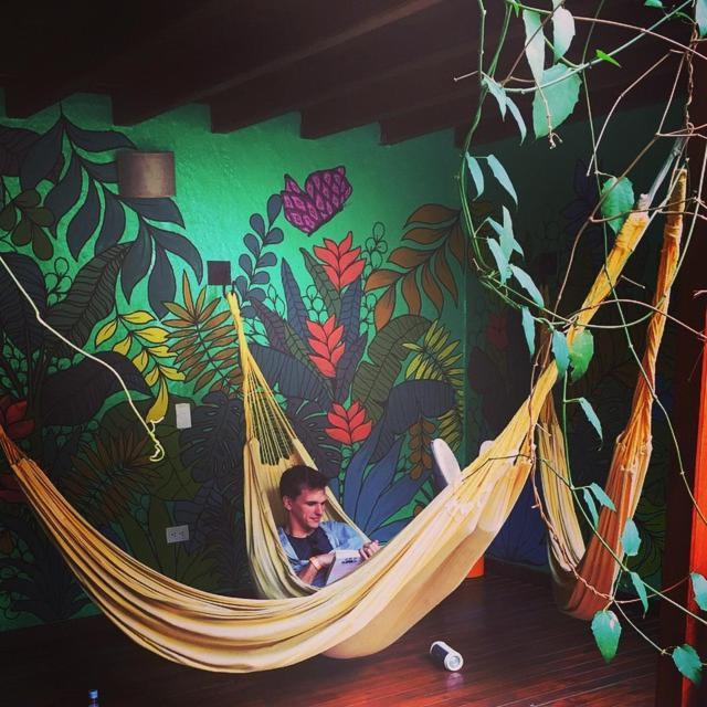 Casa Kiwi Hostel Medellín Dış mekan fotoğraf